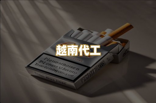 越南代工